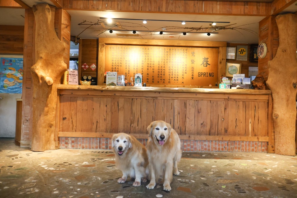 宜蘭冬山山林系住宿推薦｜香格里拉休閒農場。蘭陽平原美景＋天空鞦韆＋寵物友善一泊二食