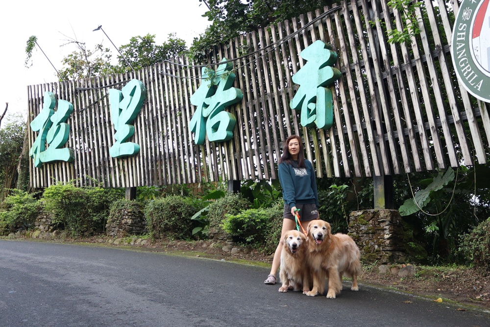 宜蘭冬山山林系住宿推薦｜香格里拉休閒農場。蘭陽平原美景＋天空鞦韆＋寵物友善一泊二食