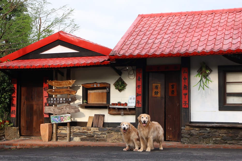 宜蘭冬山山林系住宿推薦｜香格里拉休閒農場。蘭陽平原美景＋天空鞦韆＋寵物友善一泊二食