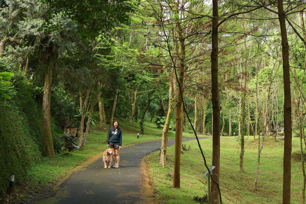 宜蘭冬山山林系住宿推薦｜香格里拉休閒農場。蘭陽平原美景＋天空鞦韆＋寵物友善一泊二食