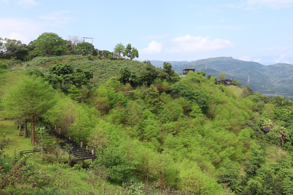 宜蘭冬山山林系住宿推薦｜香格里拉休閒農場。蘭陽平原美景＋天空鞦韆＋寵物友善一泊二食