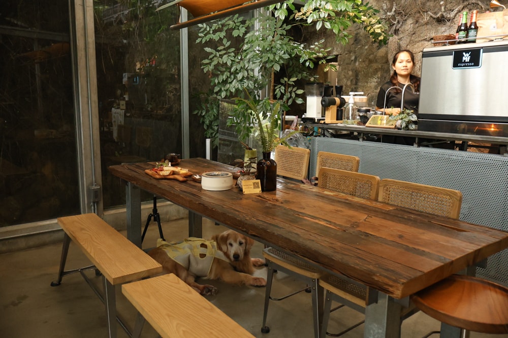 九份森林系咖啡廳推薦|微光森林 Twilight Café 玻璃屋秘境早午餐,寵物友善餐廳、山海系景觀咖啡廳、山景咖啡館必訪 - 第9張圖 九份森林系咖啡廳推薦|微光森林 Twilight Café 玻璃屋秘境早午餐,寵物友善餐廳、山海系景觀咖啡廳、山景咖啡館必訪