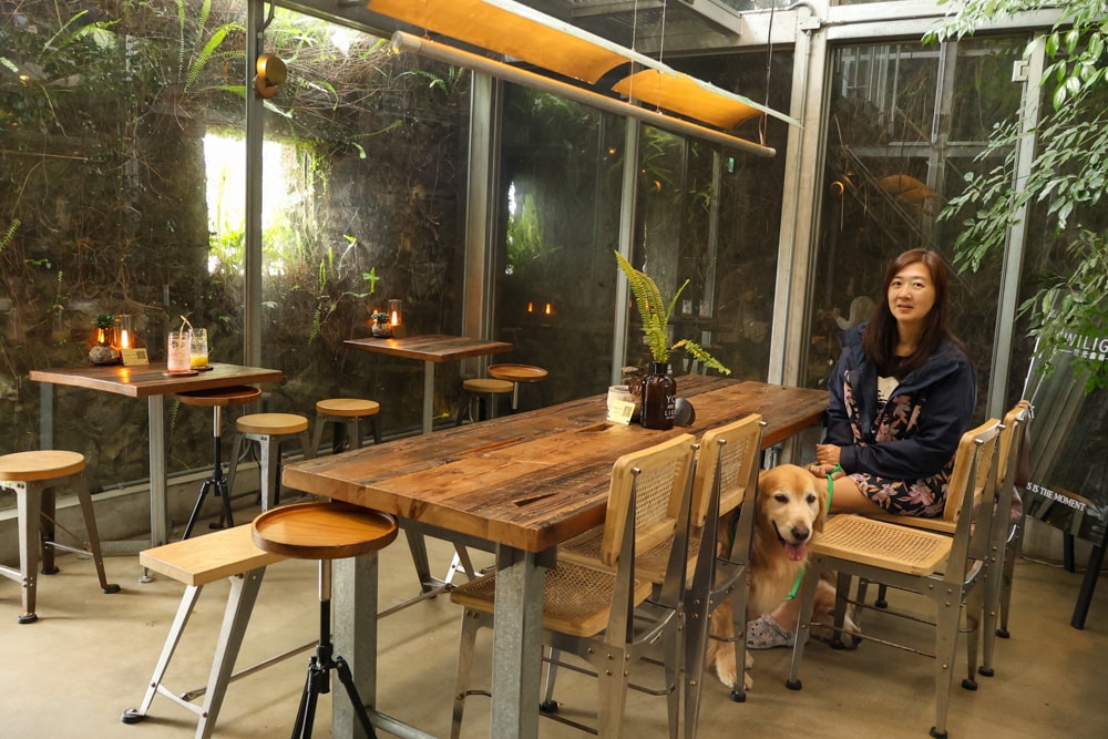 九份森林系咖啡廳推薦|微光森林 Twilight Café 玻璃屋秘境早午餐,寵物友善餐廳、山海系景觀咖啡廳、山景咖啡館必訪 - 第11張圖 九份森林系咖啡廳推薦|微光森林 Twilight Café 玻璃屋秘境早午餐,寵物友善餐廳、山海系景觀咖啡廳、山景咖啡館必訪