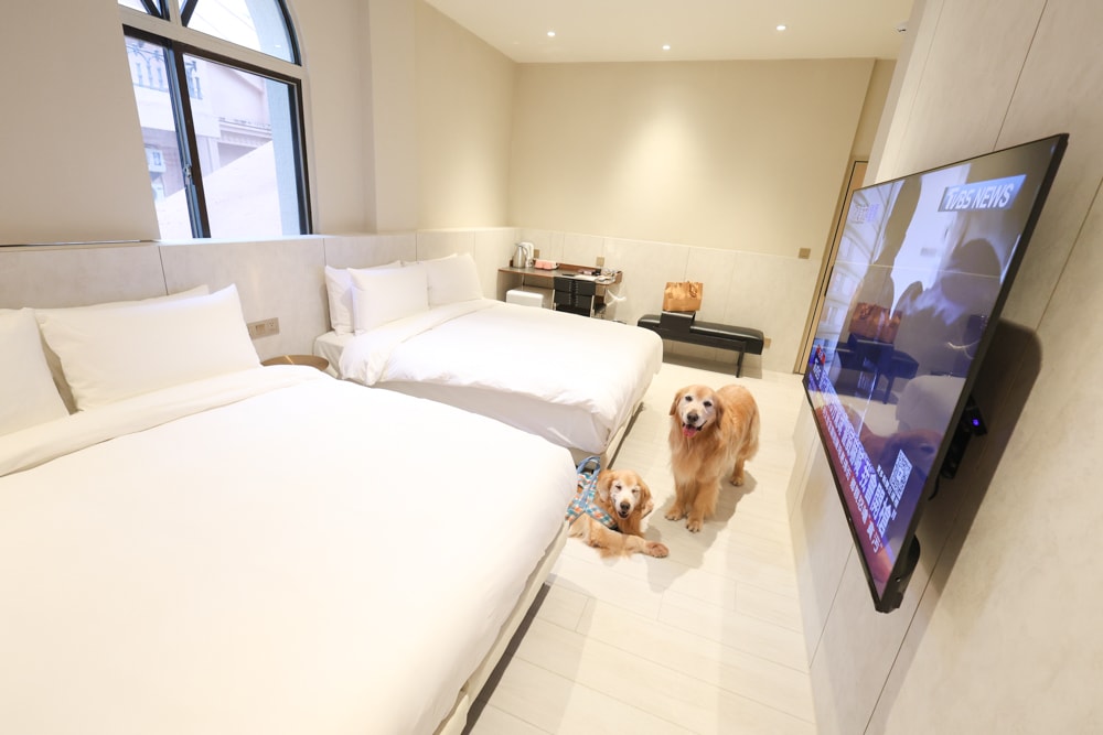 台中寵物友善住宿｜佩德先生 Mr.Petter 。北屯高質感旅店、毛孩可進房、24小時點心飲料