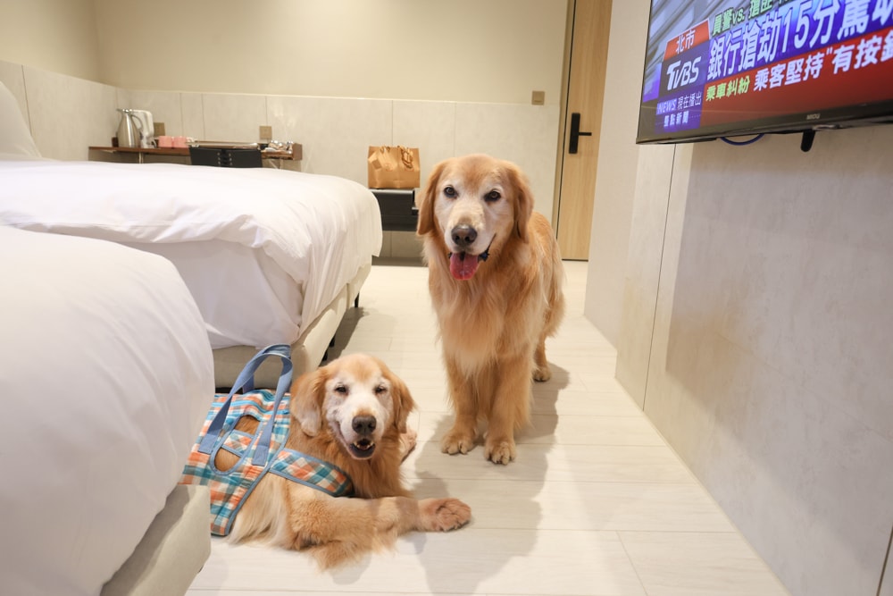 台中寵物友善住宿｜佩德先生 Mr.Petter 。北屯高質感旅店、毛孩可進房、24小時點心飲料
