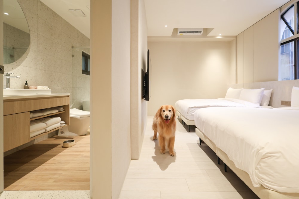 台中寵物友善住宿｜佩德先生 Mr.Petter 。北屯高質感旅店、毛孩可進房、24小時點心飲料