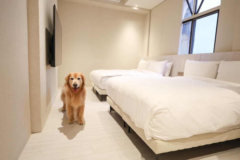 台中寵物友善住宿｜佩德先生 Mr.Petter 。北屯高質感旅店、毛孩可進房、24小時點心飲料