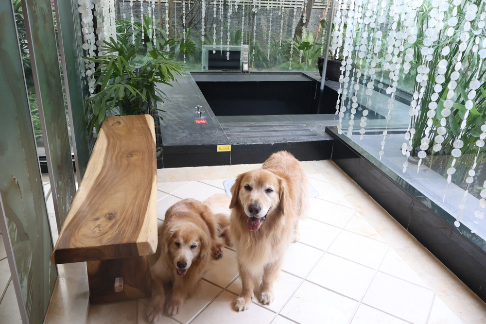 台中精品酒店|沐蘭精品旅館台中館。台中寵物友善住宿、舒適奢華住宿首選,大型犬也能輕鬆入住 - 第15張圖 台中精品酒店|沐蘭精品旅館台中館。台中寵物友善住宿、舒適奢華住宿首選,大型犬也能輕鬆入住