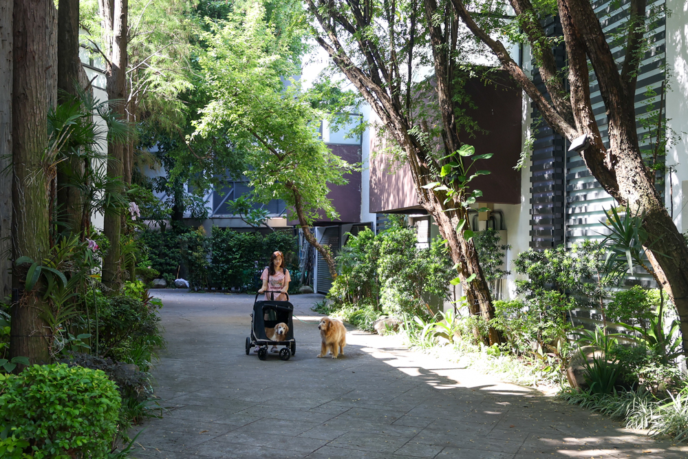 台中精品酒店|沐蘭精品旅館台中館。台中寵物友善住宿、舒適奢華住宿首選,大型犬也能輕鬆入住 - 第5張圖 台中精品酒店|沐蘭精品旅館台中館。台中寵物友善住宿、舒適奢華住宿首選,大型犬也能輕鬆入住