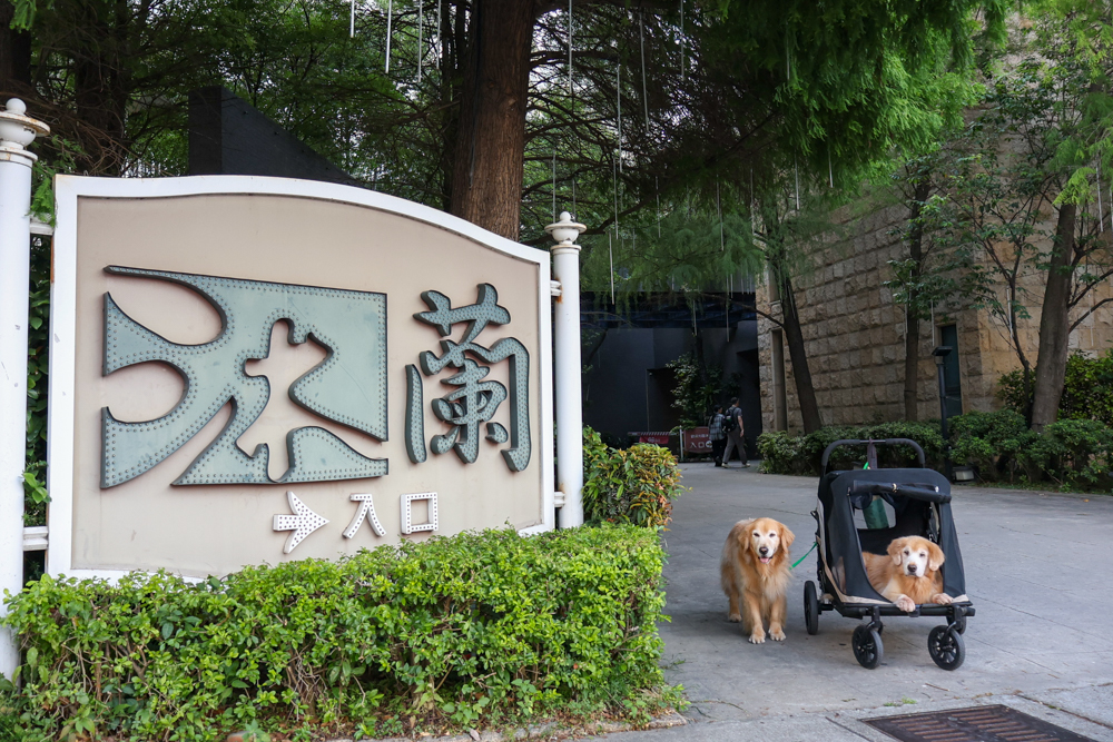 台中精品酒店|沐蘭精品旅館台中館。台中寵物友善住宿、舒適奢華住宿首選,大型犬也能輕鬆入住 - 第2張圖 台中精品酒店|沐蘭精品旅館台中館。台中寵物友善住宿、舒適奢華住宿首選,大型犬也能輕鬆入住