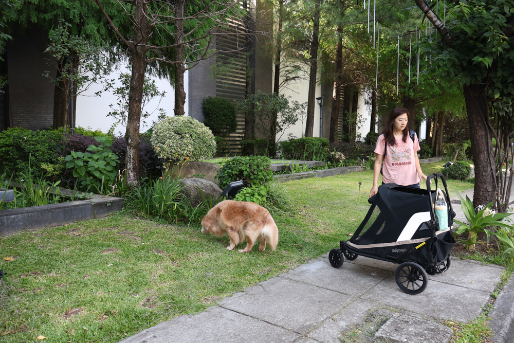 台中精品酒店|沐蘭精品旅館台中館。台中寵物友善住宿、舒適奢華住宿首選,大型犬也能輕鬆入住 - 第3張圖 台中精品酒店|沐蘭精品旅館台中館。台中寵物友善住宿、舒適奢華住宿首選,大型犬也能輕鬆入住
