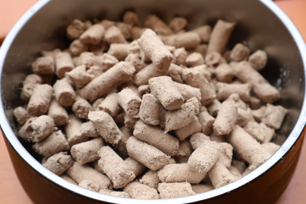 GoodNoze 狗狗凍乾主食開箱｜100%紐西蘭天然肉源，挑嘴狗、老犬必看凍乾主食推薦