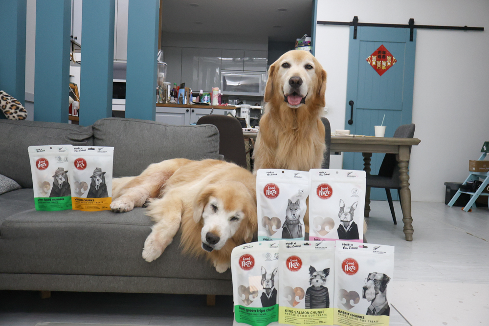 GoodNoze 狗狗凍乾主食開箱｜100%紐西蘭天然肉源，挑嘴狗、老犬必看凍乾主食推薦