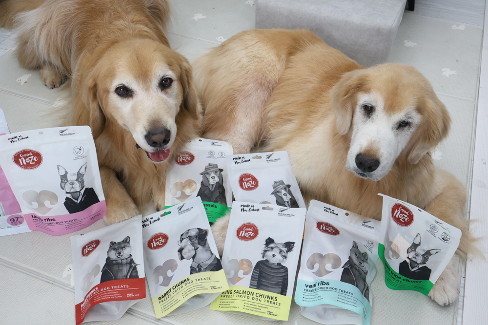 GoodNoze 狗狗凍乾主食開箱｜100%紐西蘭天然肉源，挑嘴狗、老犬必看凍乾主食推薦
