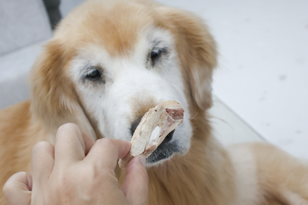 GoodNoze 狗狗凍乾主食開箱｜100%紐西蘭天然肉源，挑嘴狗、老犬必看凍乾主食推薦
