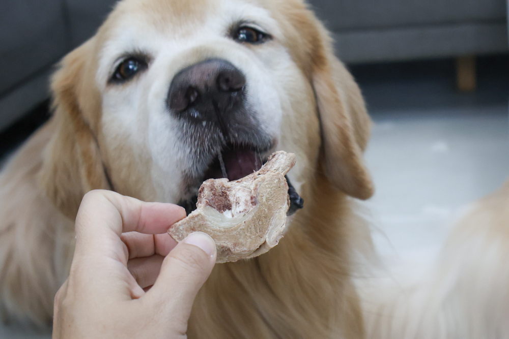 GoodNoze 狗狗凍乾主食開箱｜100%紐西蘭天然肉源，挑嘴狗、老犬必看凍乾主食推薦