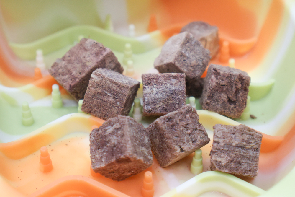 GoodNoze 狗狗凍乾主食開箱｜100%紐西蘭天然肉源，挑嘴狗、老犬必看凍乾主食推薦