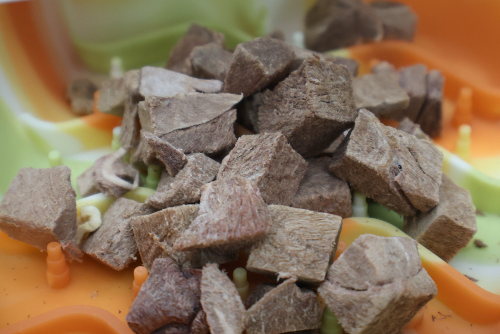 GoodNoze 狗狗凍乾主食開箱｜100%紐西蘭天然肉源，挑嘴狗、老犬必看凍乾主食推薦