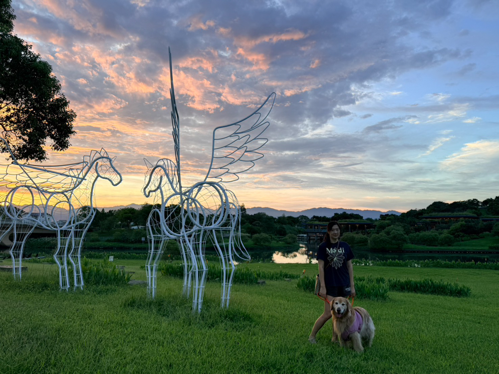宜蘭寵物友善行程景點規劃、美食住宿推薦|冬山河觀星遊船、小河文明包船、有朋會館與頭城農場 - 第35張圖 宜蘭寵物友善行程景點規劃、美食住宿推薦|冬山河觀星遊船、小河文明包船、有朋會館與頭城農場