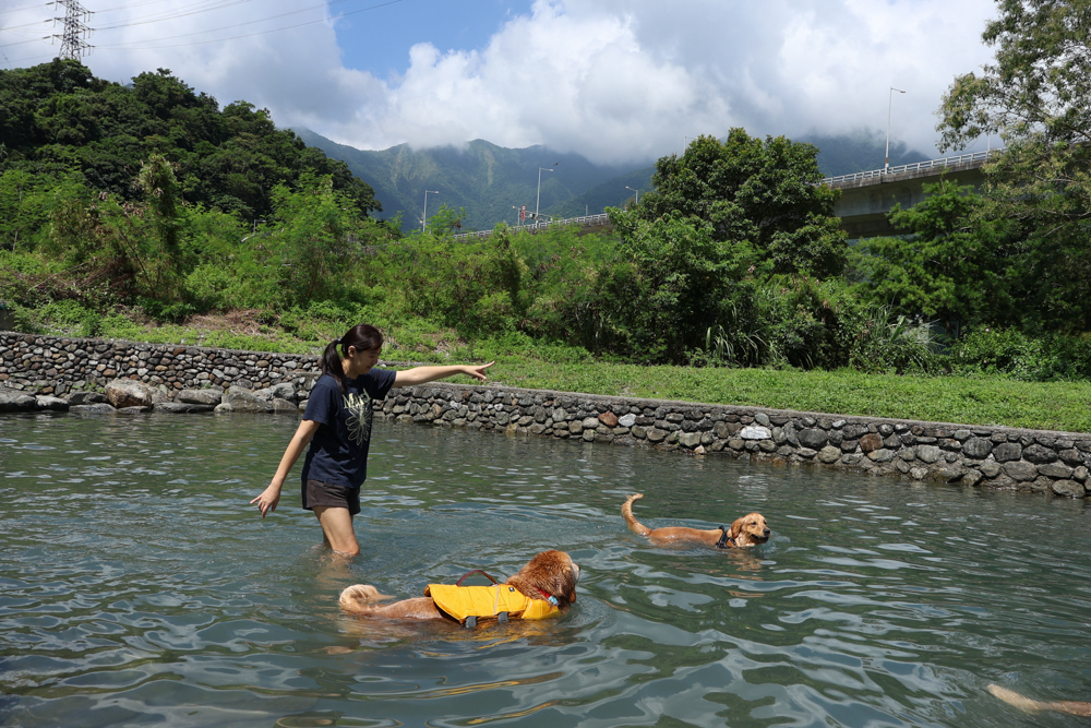 宜蘭寵物友善行程景點規劃、美食住宿推薦|冬山河觀星遊船、小河文明包船、有朋會館與頭城農場 - 第2張圖 宜蘭寵物友善行程景點規劃、美食住宿推薦|冬山河觀星遊船、小河文明包船、有朋會館與頭城農場