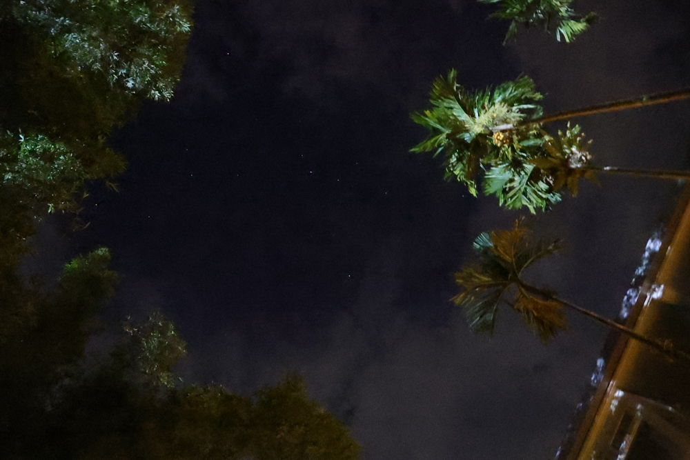 宜蘭寵物友善行程景點規劃、美食住宿推薦|冬山河觀星遊船、小河文明包船、有朋會館與頭城農場 - 第85張圖 宜蘭寵物友善行程景點規劃、美食住宿推薦|冬山河觀星遊船、小河文明包船、有朋會館與頭城農場