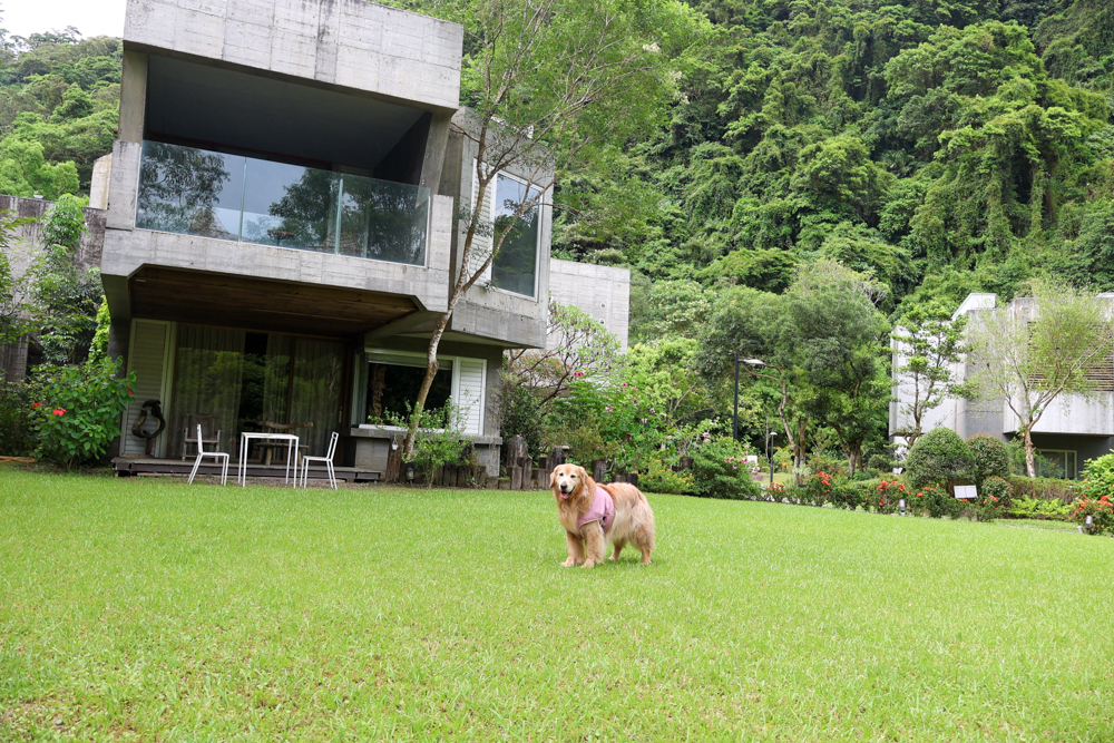 宜蘭寵物友善行程景點規劃、美食住宿推薦|冬山河觀星遊船、小河文明包船、有朋會館與頭城農場 - 第41張圖 宜蘭寵物友善行程景點規劃、美食住宿推薦|冬山河觀星遊船、小河文明包船、有朋會館與頭城農場