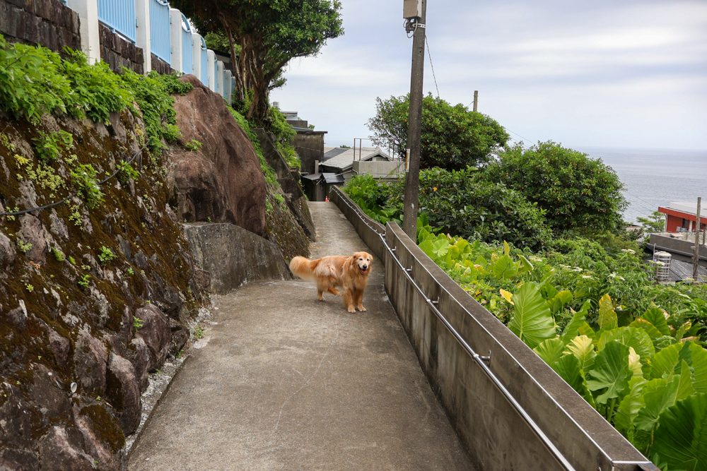 瑞芳九份住宿推薦|神隱之月 Twilight Moon 金瓜石、水湳洞海景民宿,包棟住宿、寵物友善、鄰近陰陽海 - 第4張圖 瑞芳九份住宿推薦|神隱之月 Twilight Moon 金瓜石、水湳洞海景民宿,包棟住宿、寵物友善、鄰近陰陽海