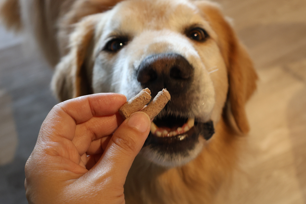 GoodNoze 狗狗凍乾主食開箱｜100%紐西蘭天然肉源，挑嘴狗、老犬必看凍乾主食推薦