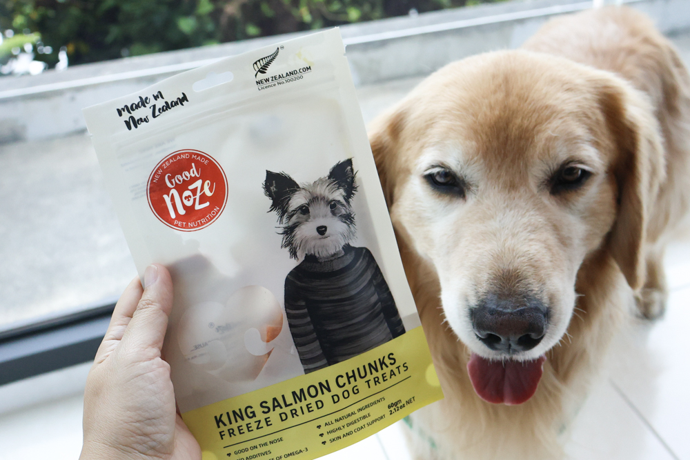 GoodNoze 狗狗凍乾主食開箱｜100%紐西蘭天然肉源，挑嘴狗、老犬必看凍乾主食推薦