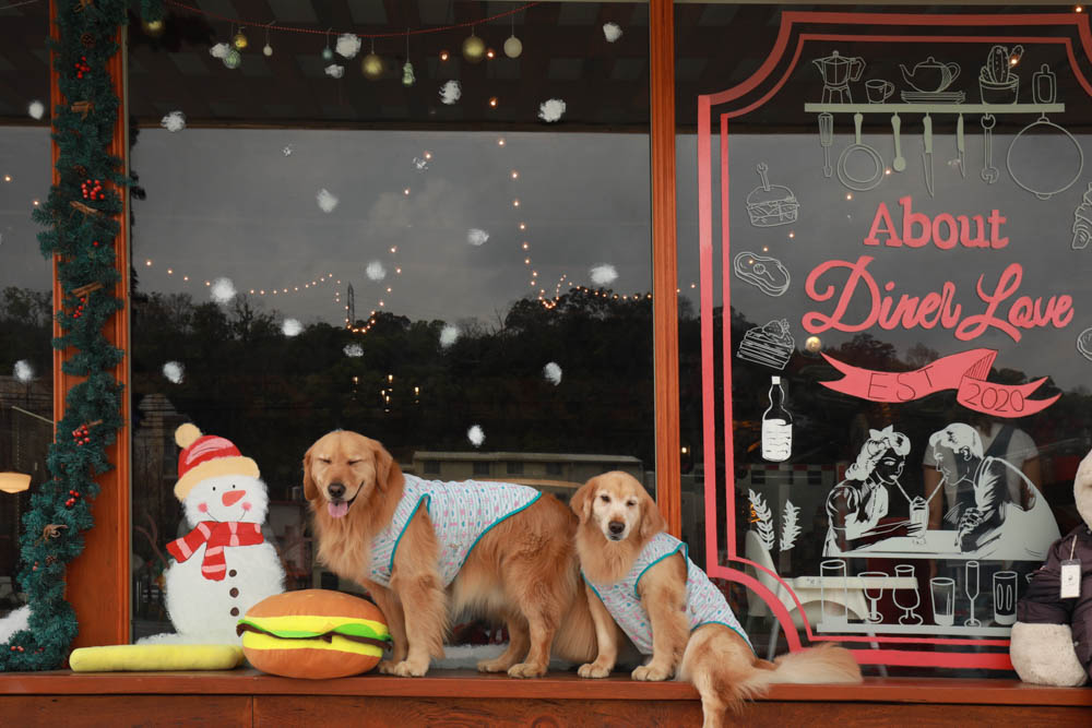 苗栗大湖美食|Route3三號公路。美國公路上經典復古美式餐廳、寵物友善餐廳、美式漢堡炸雞奶昔 - 第5張圖 苗栗大湖美食|Route3三號公路。美國公路上經典復古美式餐廳、寵物友善餐廳、美式漢堡炸雞奶昔