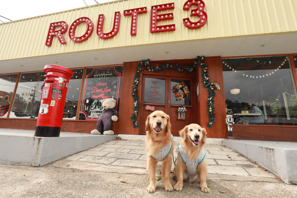 苗栗大湖美食|Route3三號公路。美國公路上經典復古美式餐廳、寵物友善餐廳、美式漢堡炸雞奶昔 - 第4張圖 苗栗大湖美食|Route3三號公路。美國公路上經典復古美式餐廳、寵物友善餐廳、美式漢堡炸雞奶昔