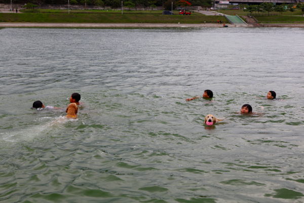 活水湖6