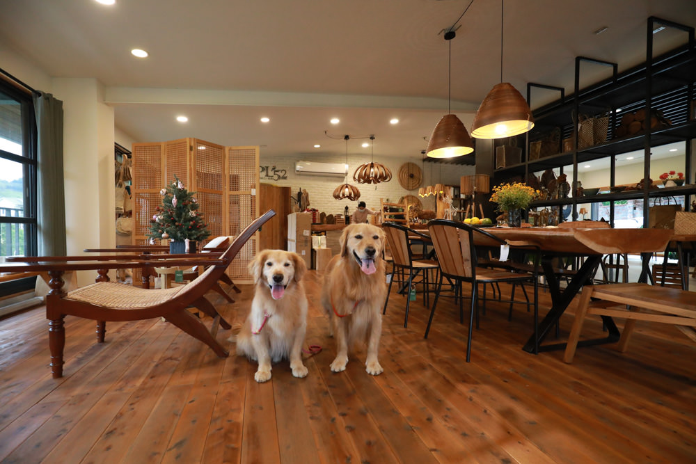 苗栗卓蘭|坪林五二家品民宿PL52 Living。寵物友善民宿、質感傢俱、咖啡廳結合民宿 - 第2張圖 苗栗卓蘭|坪林五二家品民宿PL52 Living。寵物友善民宿、質感傢俱、咖啡廳結合民宿