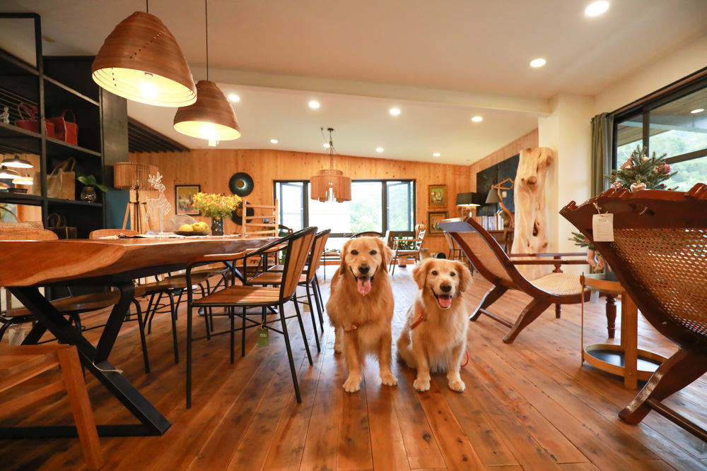 苗栗卓蘭|坪林五二家品民宿PL52 Living。寵物友善民宿、質感傢俱、咖啡廳結合民宿 - 第5張圖 苗栗卓蘭|坪林五二家品民宿PL52 Living。寵物友善民宿、質感傢俱、咖啡廳結合民宿