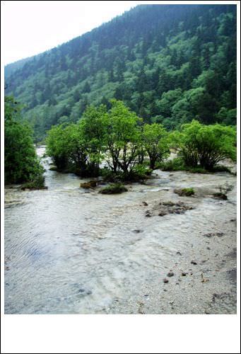 四川.人間仙境九寨天堂-黃龍風景區