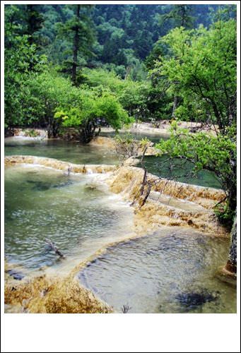 四川.人間仙境九寨天堂-黃龍風景區