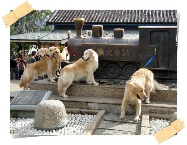 集集綠色隧道.車站遊