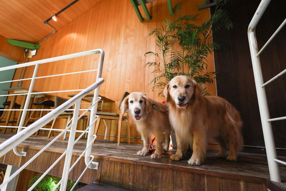 花蓮美食｜Sista mill 磨粉姊姊咖啡輕食。寵物友善餐廳、早午餐、手工碳烤歐風野生酵母麵包