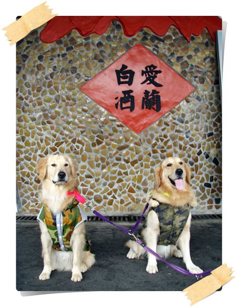 埔里酒廠