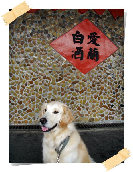 埔里酒廠