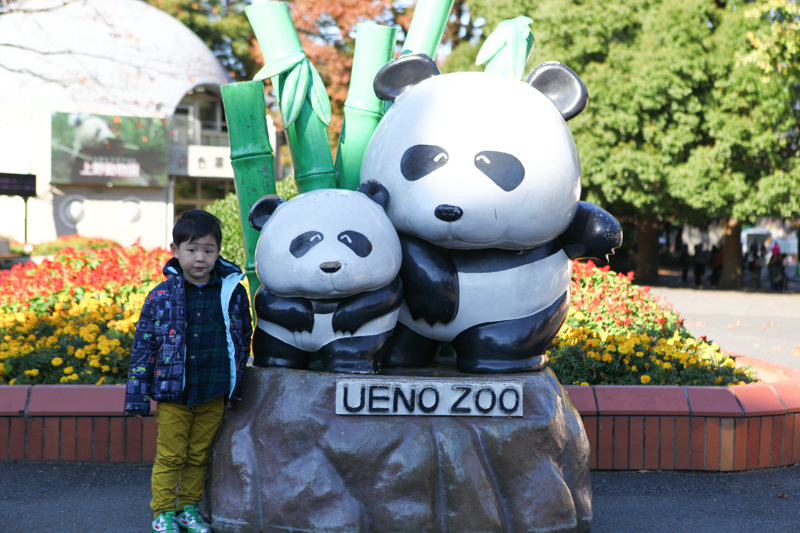 上野動物園-8.jpg