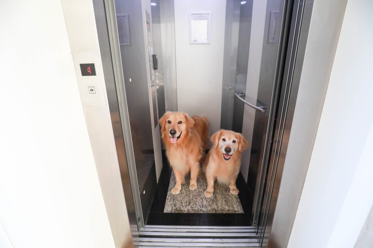 宜蘭五結｜Wonderwall美好境界民宿。寵物友善民宿、擁有冬山河出海口絕美景觀、清水模包棟民宿