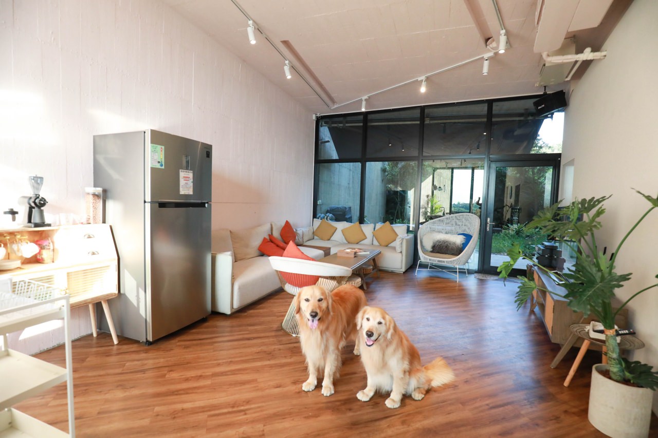 宜蘭五結｜Wonderwall美好境界民宿。寵物友善民宿、擁有冬山河出海口絕美景觀、清水模包棟民宿