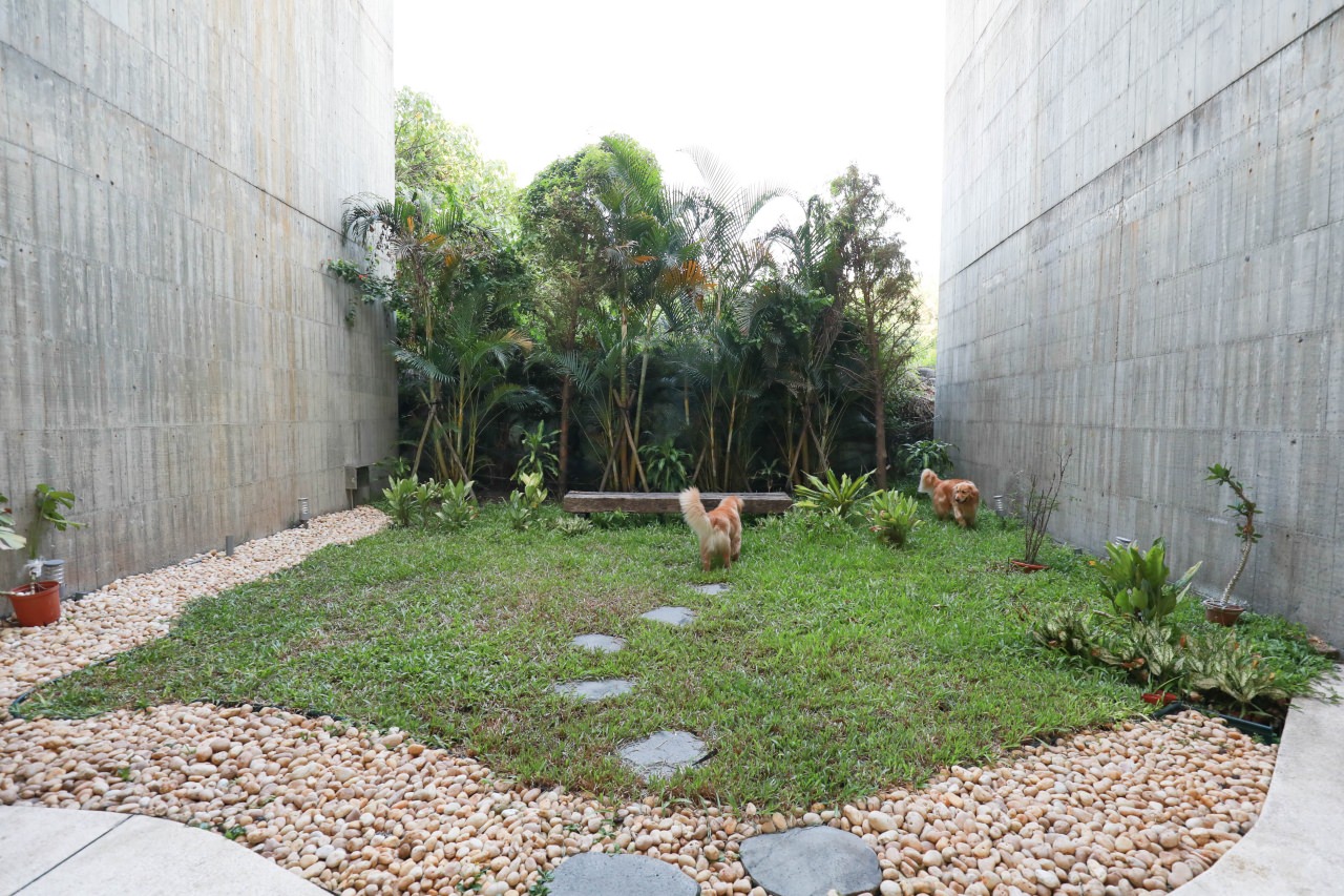 宜蘭五結｜Wonderwall美好境界民宿。寵物友善民宿、擁有冬山河出海口絕美景觀、清水模包棟民宿