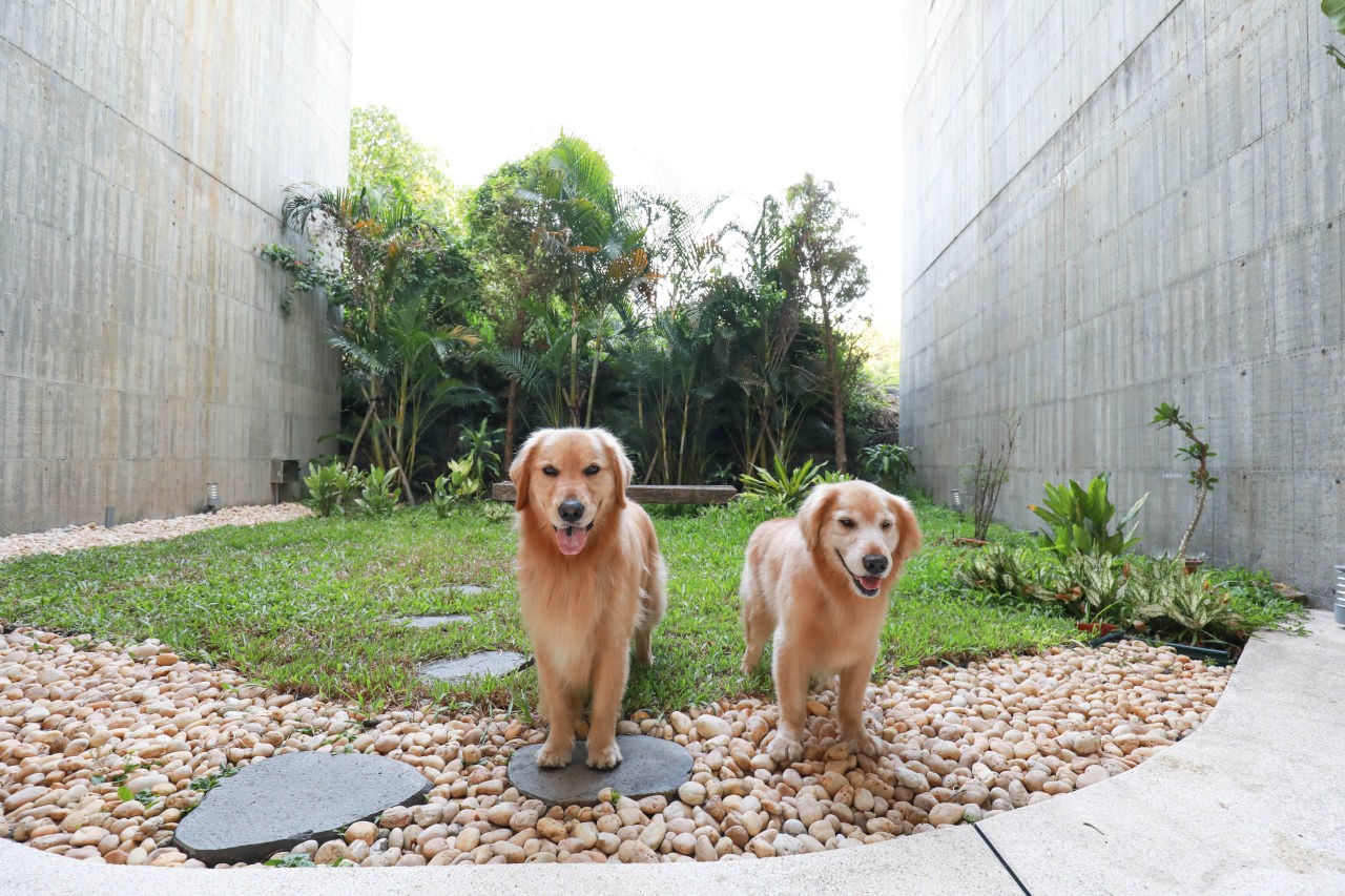 宜蘭五結｜Wonderwall美好境界民宿。寵物友善民宿、擁有冬山河出海口絕美景觀、清水模包棟民宿