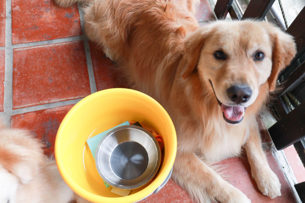 清境茲心園渡假山莊｜清境寵物友善民宿、眺望絕美碧湖最佳地理位置、擁抱療癒山嵐美景！！