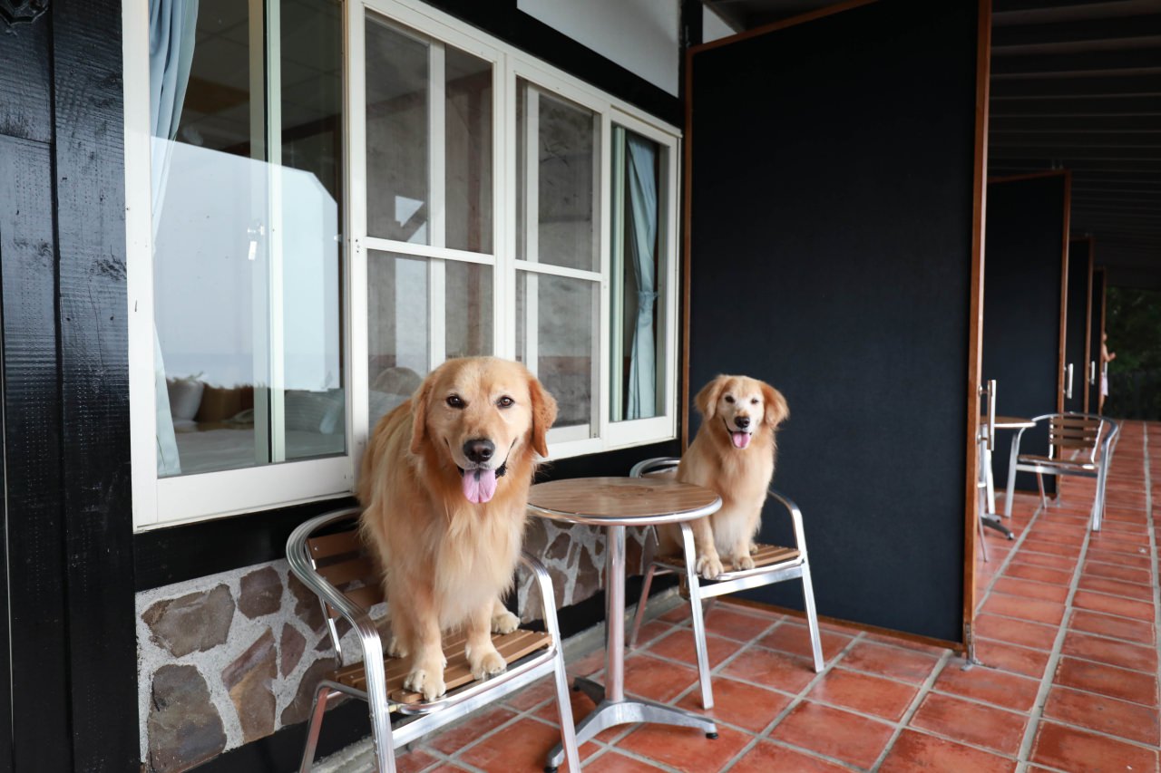 清境茲心園渡假山莊｜清境寵物友善民宿、眺望絕美碧湖最佳地理位置、擁抱療癒山嵐美景！！