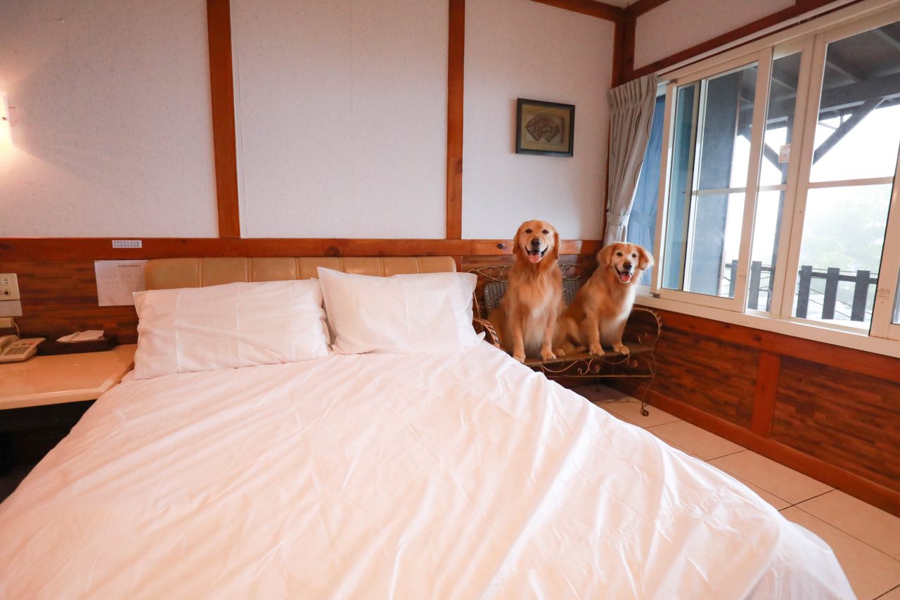 清境茲心園渡假山莊｜清境寵物友善民宿、眺望絕美碧湖最佳地理位置、擁抱療癒山嵐美景！！