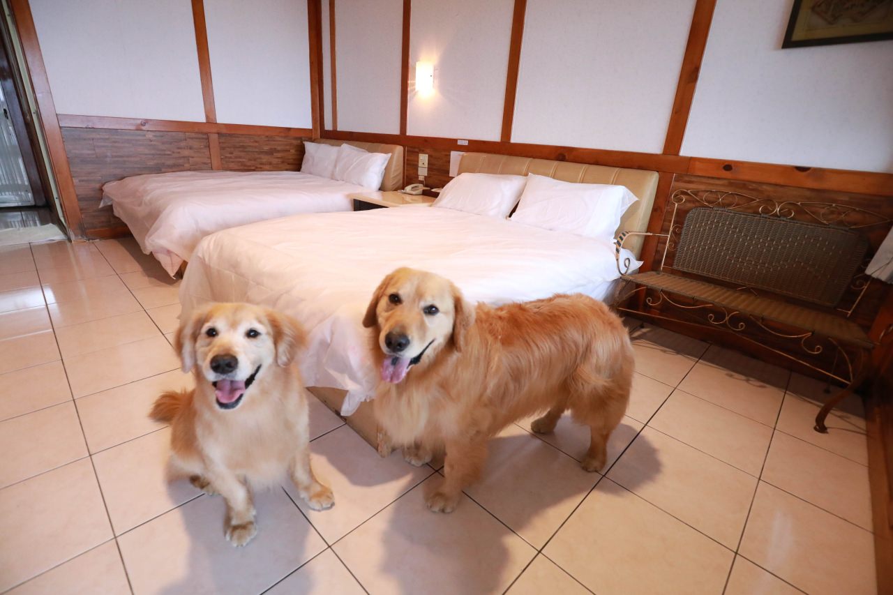 清境茲心園渡假山莊｜清境寵物友善民宿、眺望絕美碧湖最佳地理位置、擁抱療癒山嵐美景！！