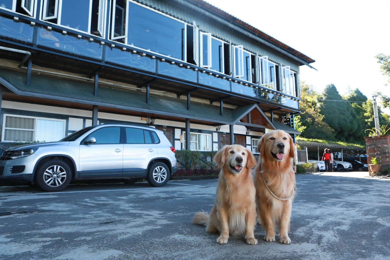 清境茲心園渡假山莊｜清境寵物友善民宿、眺望絕美碧湖最佳地理位置、擁抱療癒山嵐美景！！